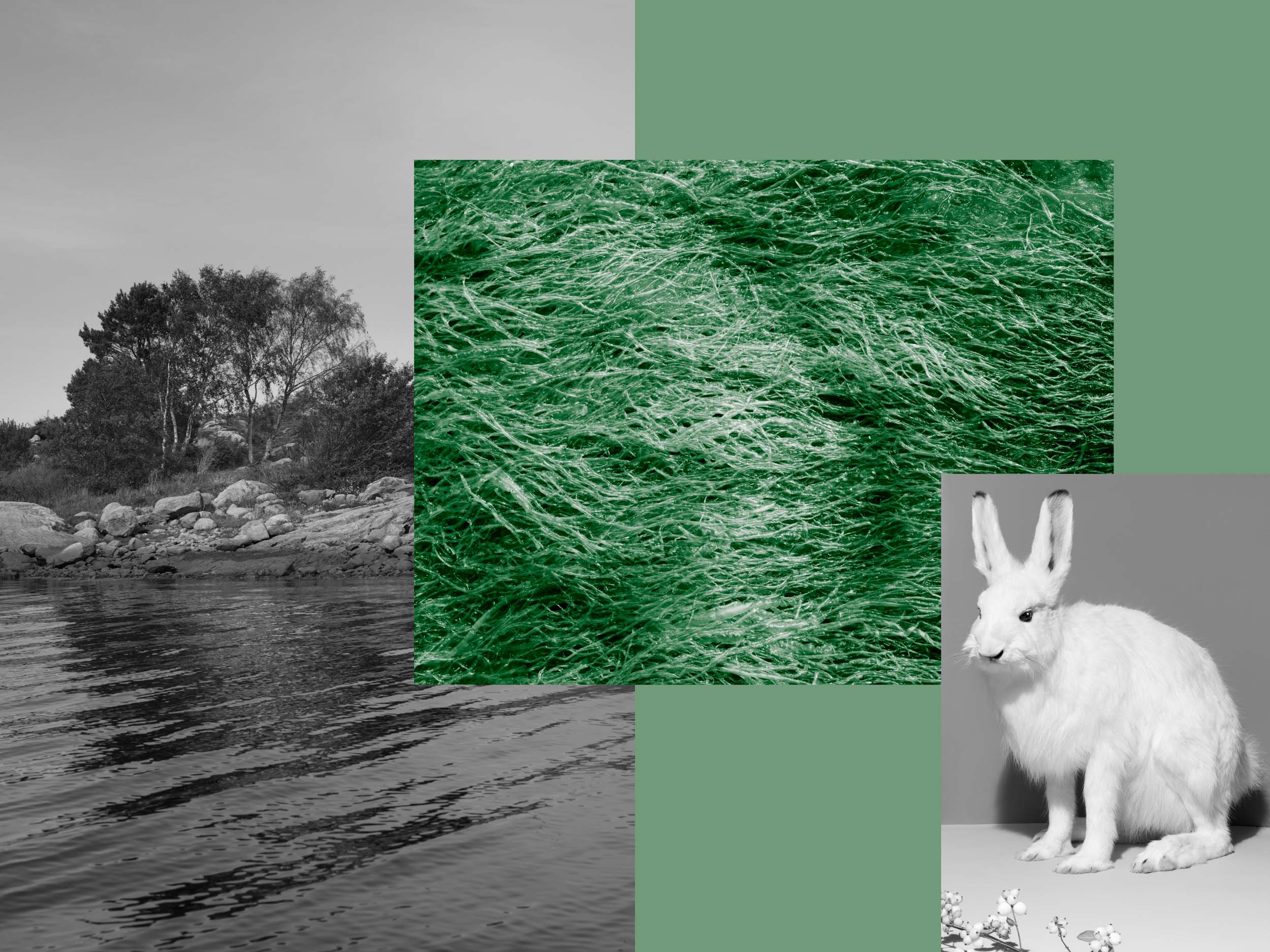 19_Zine_1_34_35X