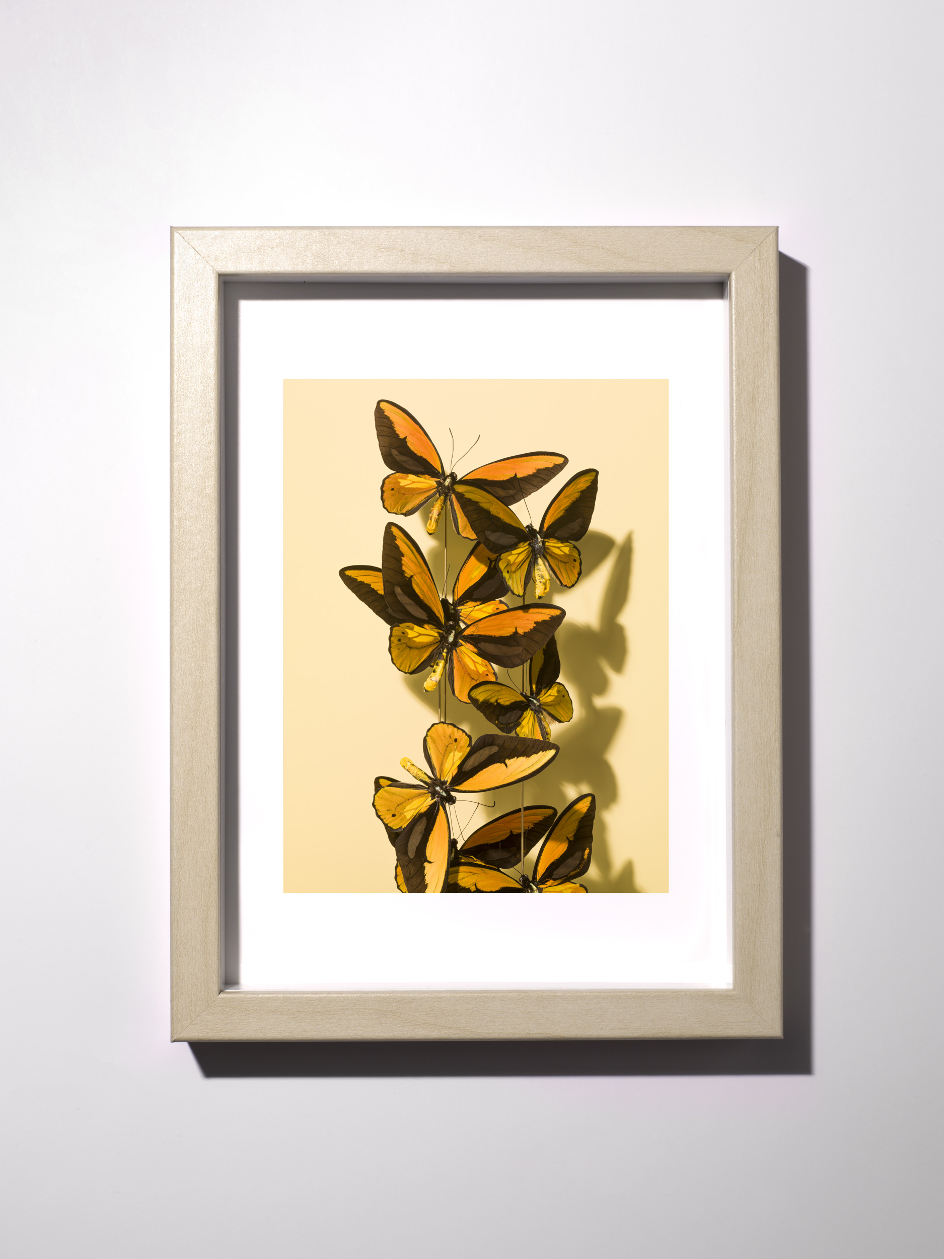 22-Tiny_Prints_012-Edit_Butter