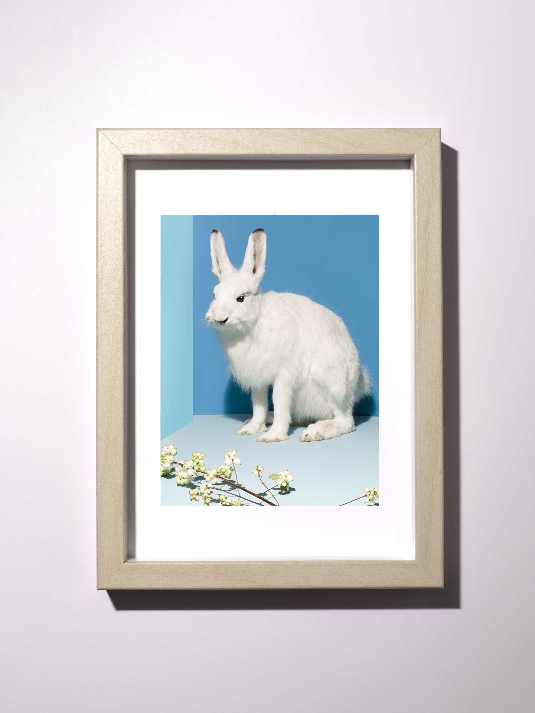 22-Tiny_Prints_012-Edit_Rabbit